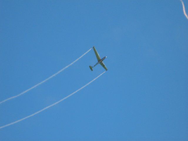 img_0905.jpg